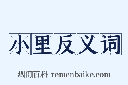 小里反义词是什么意思的图片